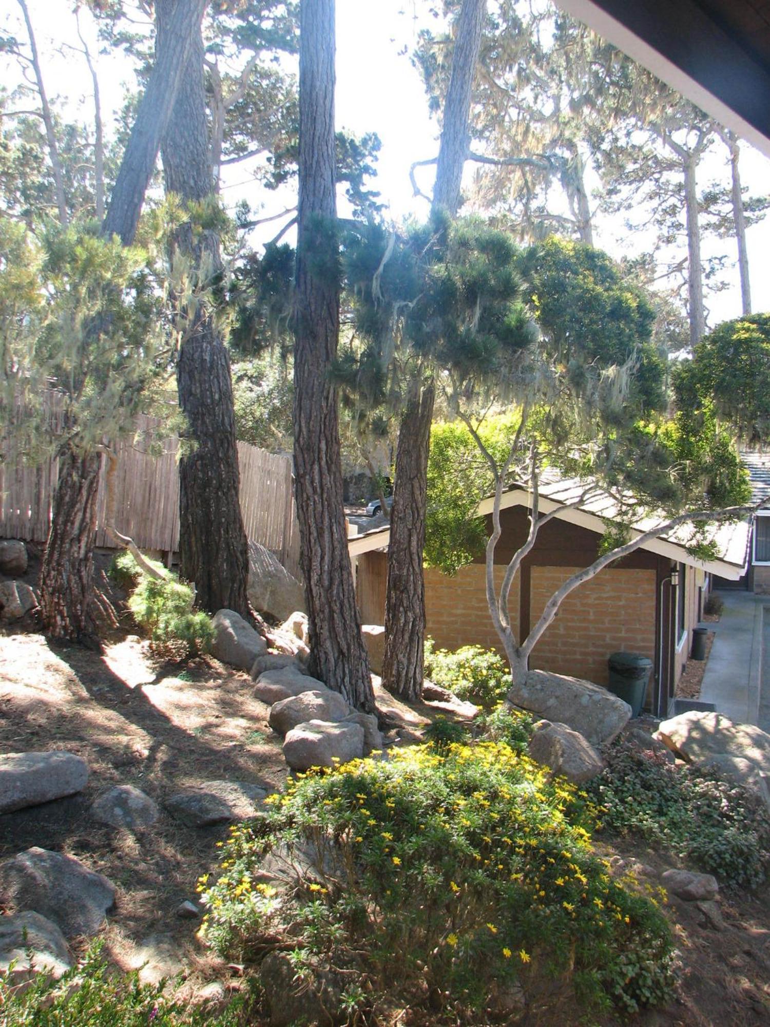 Lighthouse Lodge & Cottages Pacific Grove Dış mekan fotoğraf